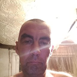 ���� ������, ϸ���, ����������, ������, 41 ���