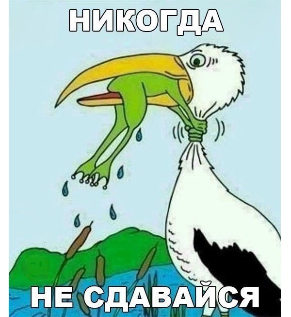  - 19  2025  08:02
