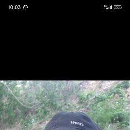 , 40, 