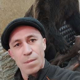 , 49, 
