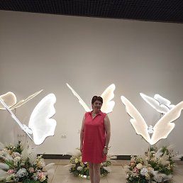 , , 54 