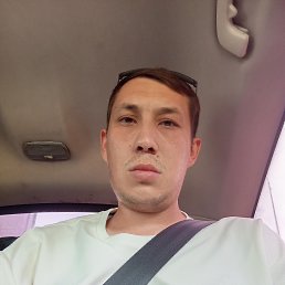 , 29, 