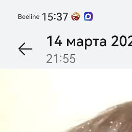 �����, ���������, 59 ���