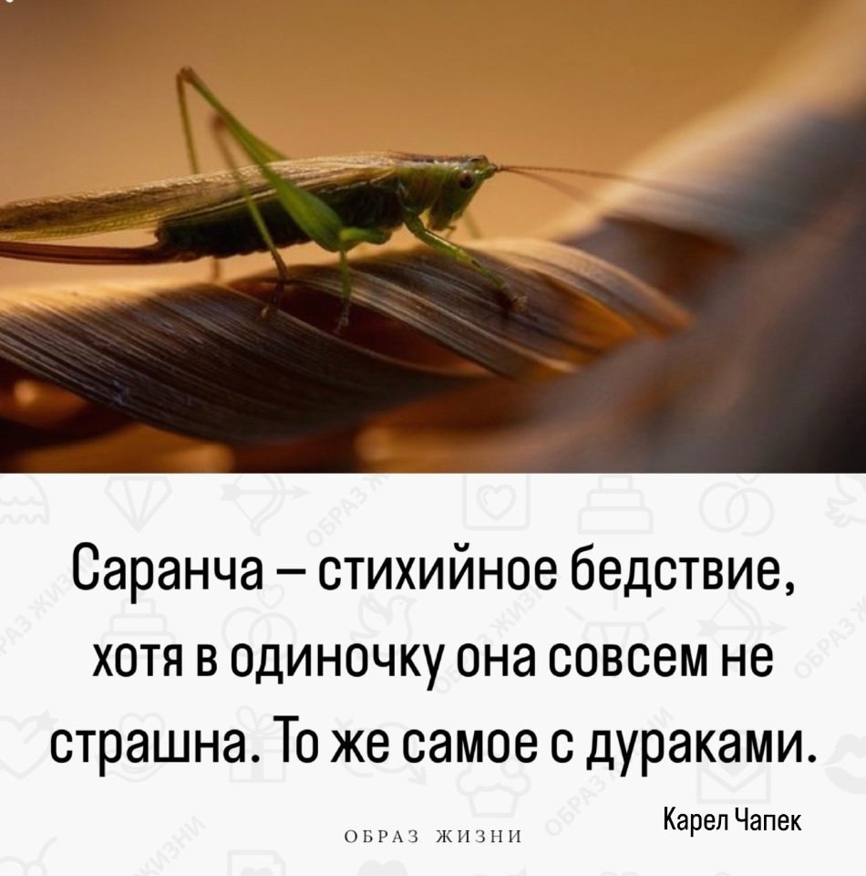 Co-Motivation.... . - 13  2024  15:47