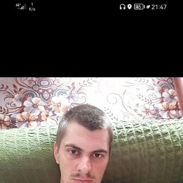 , 33, 