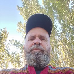 , 53 , 