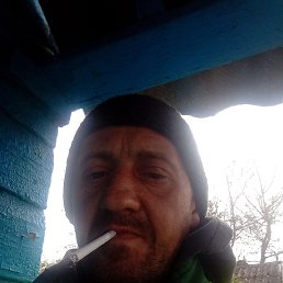 ������ �������, ����, 39 ���