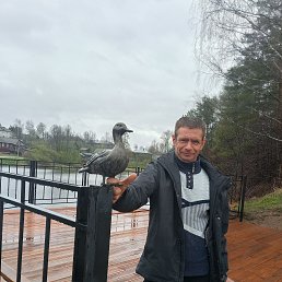 , 41, 