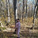 ���� ����, ���������� - ��������� 17 ������ 2026 � ������ ���� ����������