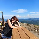 ���� �������, �����������, 43 ���� - ��������� 17 ���� 2025 � ������ ���� ����������