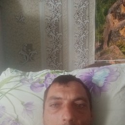 , 37, 