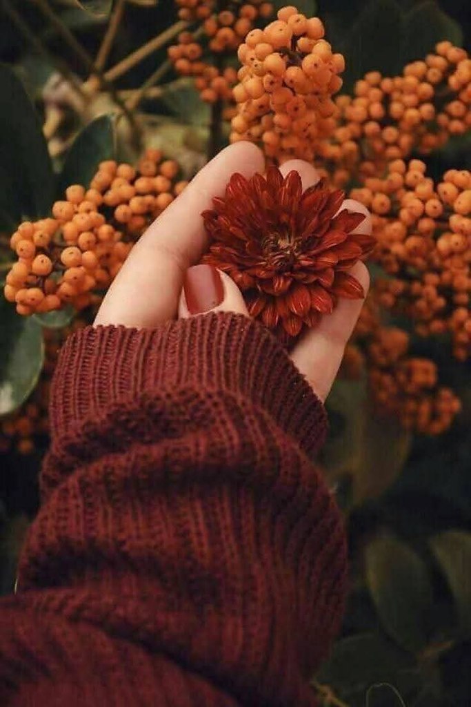    ?    .     .    .  ...