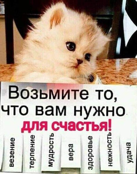   - 3  2025  13:55
