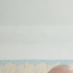 �����, ���������, 61 ���