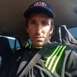 , 41, 