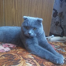 ���� ���������, ������������, 39 ��� - ��������� 13 ������� 2023