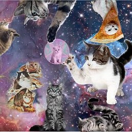 ����, ���������, 18 ���