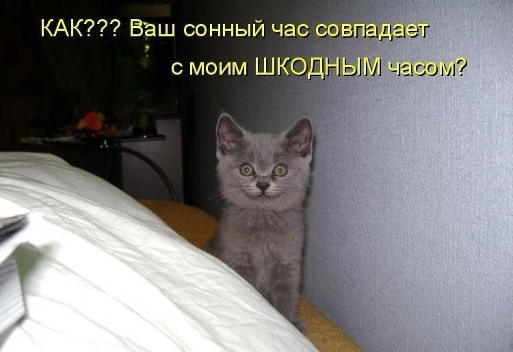    - 19  2024  16:35