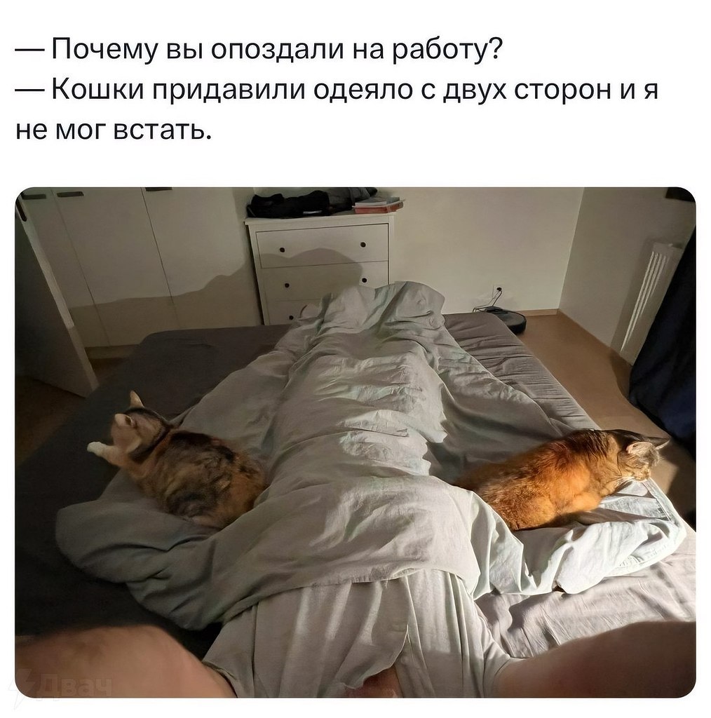  - 26  2025  09:34