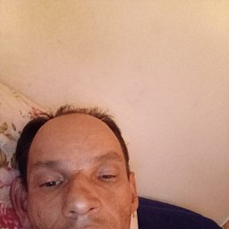 , 41, 