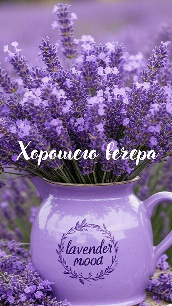   ,    . - 11  2025  19:35 - 2