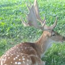 ���� ��������, ������-��-����, 24 ���� - ��������� 23 ����� 2024 � ������ ���� ����������