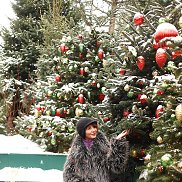 ������, 62 ����, ������