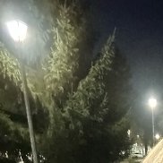 , 39 , 