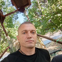 , 41, 