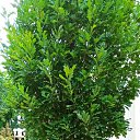 ���� ����, ��������, 59 ��� - ��������� 28 ������ 2023 � ������ ���� ����������