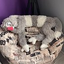 ���� ������, ������, 61 ��� - ��������� 6 ������� 2025 � ������ ������ ��������