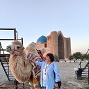 ���� �������, �������� - ��������� 8 ������� 2026 � ������ ���� ����������