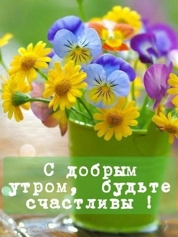 ����������� � ���������, �������� �� ������ ����. - 1 ���� 2026 � 23:47