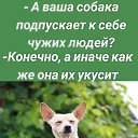 ���� ����, ������� ����, 41 ��� - ��������� 30 ����� 2026