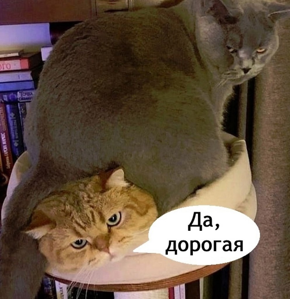  ,     - 5