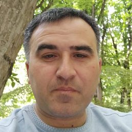 �����, ����, 41 ���