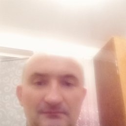 , 43 , 