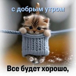 ���� ���������, ���������, 53 ���� - ��������� 3 ������ 2024