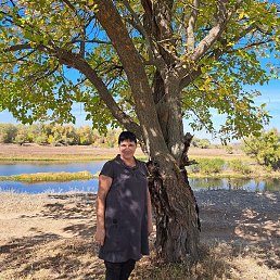 �������, ������, 62 ����