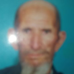 ������ ���������, �����, 37 ���