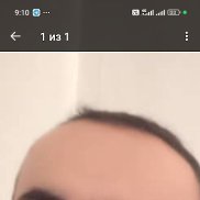 �����, 41 ���, ��������������