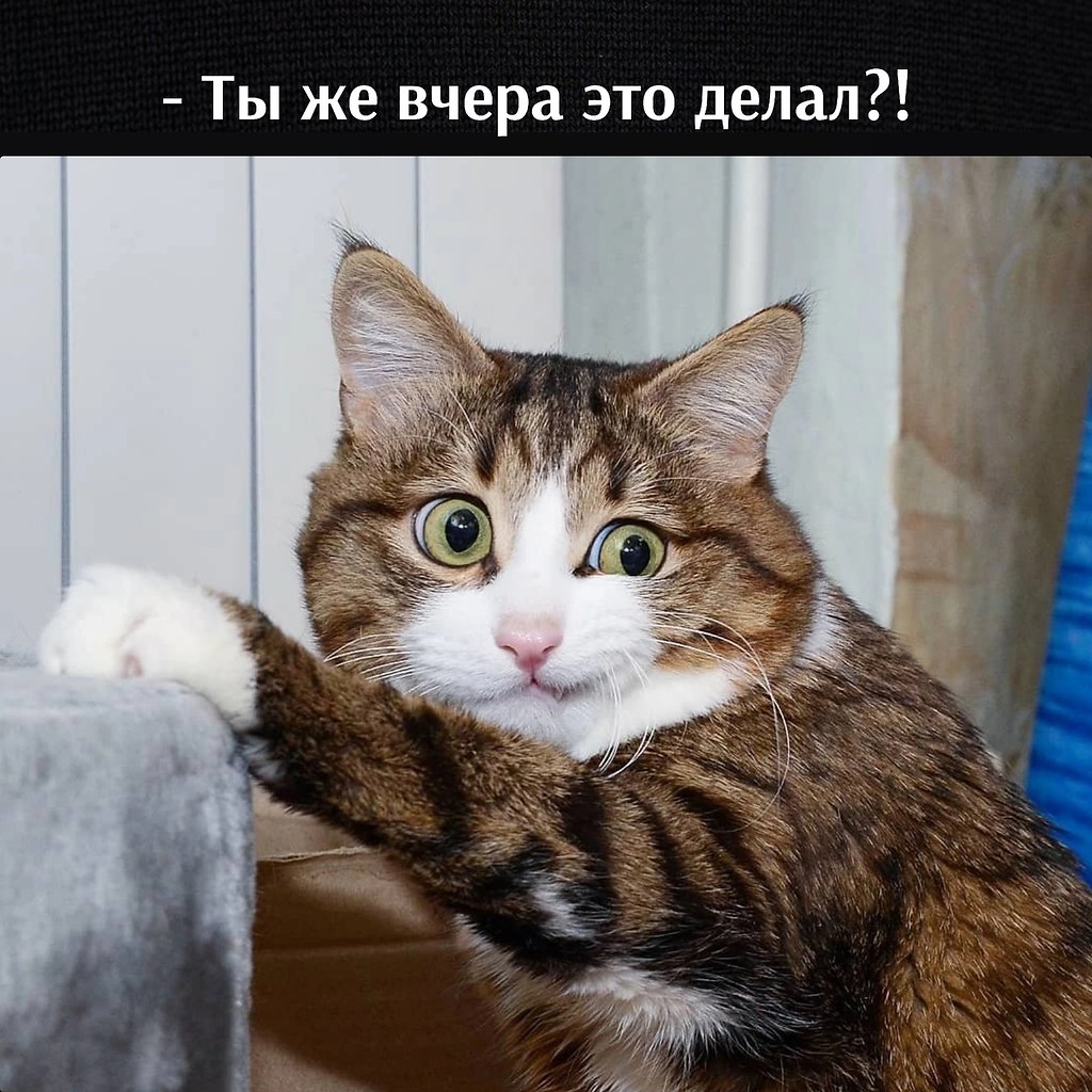       - 30  2023  13:52 - 3