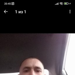 , 44, 