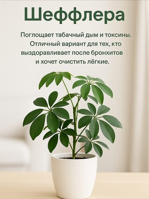   ! - 4  2025  13:39 - 5