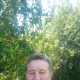 , 62, 