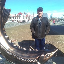 , 53, 