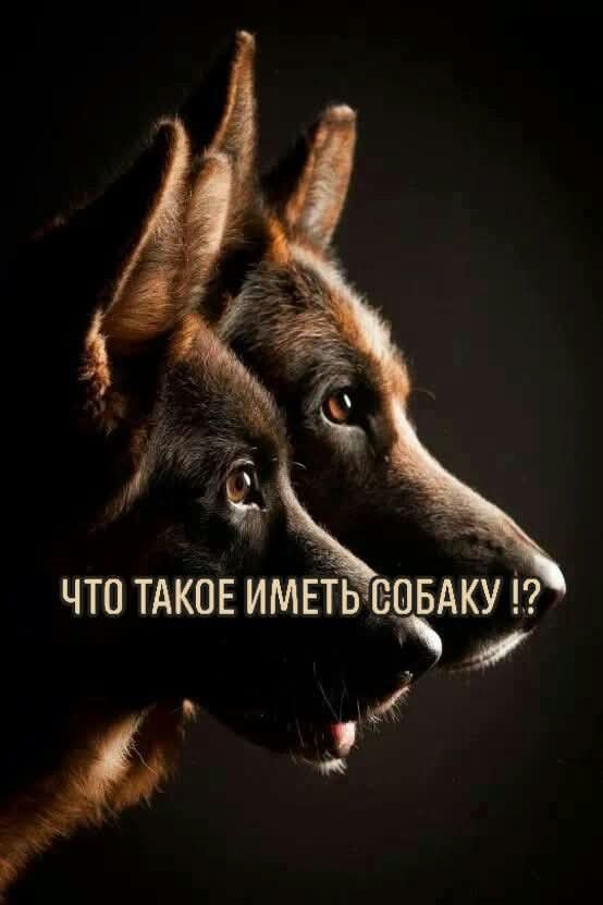 :) ��� ����� ����� ������? � ������ ����� ��������� �������. ��������� �, ������������ � �������� ...