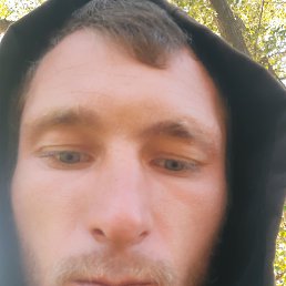 , 26, 