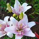 ���� ������, ������, 52 ���� - ��������� 30 ������ 2024 � ������ ���� ����������