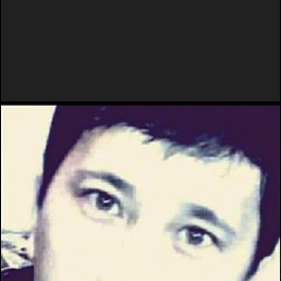 , 37, 